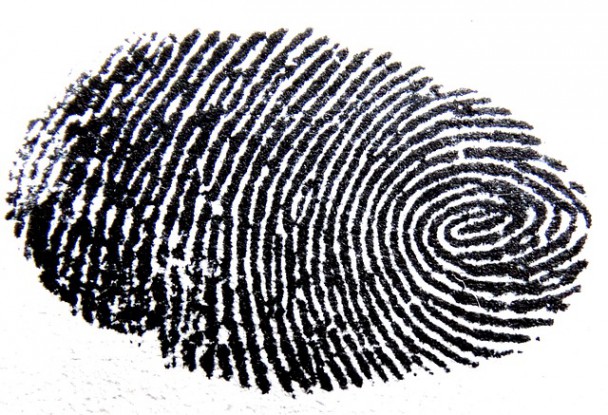 fingerprint-456483_640