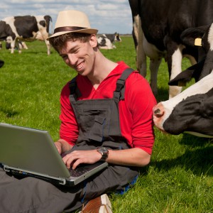 Young farmer with laptop in field with cows
